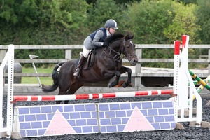 Class 6 - Fences not above 2'9